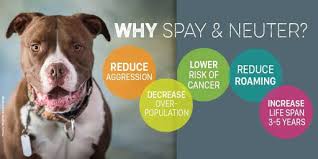 The hawaii island humane society's mobile spay and neuter waggin' was made possible by our generous donors and grant funding. Spay Neuter Humane Society Of Jefferson County Tn