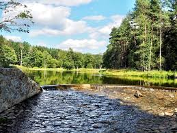 Der badesee stausee ottenstein im waldviertel mit allen freizeitangeboten und infos wie wassertemperatur, wetter, anfahrt, webcams, uvm. Pilze Seite 2 Freia Bloggt