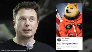The meme typically consists of a picture of a shiba inu dog accompanied by multicolored text. Dogecoin Market Value Jumps After Elon Musk S Doge Barking At Moon Tweet