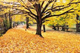 Maybe you would like to learn more about one of these? Halloween Outdoor Scenic Photograph By George Oze