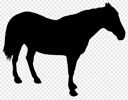 Here presented 53+ riding a horse drawing images for free to download, print or share. Draft Horse Drawing Silhouette Horse Riding Horse Mammal Animals Png Pngwing