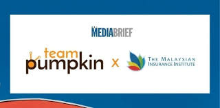 Check spelling or type a new query. Team Pumpkin To Handle Digital Marketing For The Malaysian Insurance Institute Mediabrief