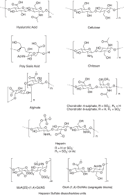3D Extracellular Matrix Mimics: Fundamental Concepts and Role of Materials  Chemistry to Influence Stem Cell Fate | Biomacromolecules
