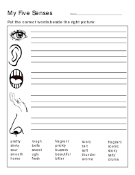 Print and teach your kids science with these free science worksheets. Worksheet Ideas Printable Science Worksheets For Kindergarten Photo Parts Of The Body Science Worksheets For Toddlers Worksheet Grade 2 Math Fall Addition Worksheets 4th Grade Reading Worksheets Vocab Quiz Maker Preschool Basic