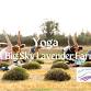 YOGA at Big Sky Lavender Farms event in Florence, MT