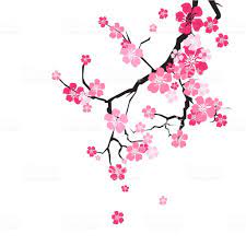Pin On Flowers