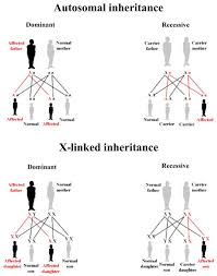 Next Generation Sequencing Applications For Cardiovascular Disease Biology Lessons Biology Classroom Nursing School Life