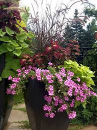Jan 02, 2019 · this vibrant colour mix of container plants for full sun has a refreshing feel. Best Summer Container Garden Ideas 55 Patio Flowers Flower Pots Outdoor Plants