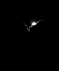 Maybe you would like to learn more about one of these? Untitled Dark Background Wallpaper Black Phone Wallpaper Black Aesthetic Wallpaper