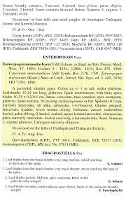 Image result for Enteropogon monostachyos