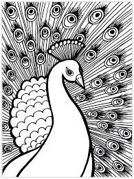 Here are free printable adult coloring pages with difficult complex grown up coloring pages to print and color. Magnificient Peacock Peacocks Adult Coloring Pages