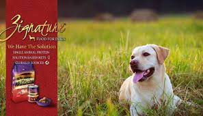 Zignature Dog Food Reviews 2021 Treehousepuppies