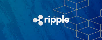 First, it does not have a very high price and second, they do not charge any fee like banks and paypal does on the transaction. Should You Invest In Ripple Xrp Tokens24