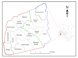 Image result for Rytigynia acuminatissima