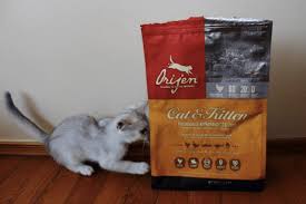 Read our orijen cat food review to learn how this brand stacks up. Orijen Cat Food Reviews Pros And Cons Pawsome Kitty