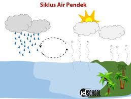 Proses dimana air menguap dari permukaan bumi. 3 Macam Siklus Air Idschool