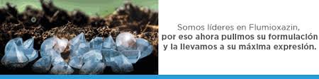 Jun 11, 2021 · el hábito de leer nos permite, entre otras cosas, tomar las riendas de nuestra vida para dejar de ser conducidos por otros. La Pena Del Colorado Todos Los 1 De Agosto Se Juntan Dos Tradiciones La Pachamama Y La Cana Con Ruda Bichos De Campo
