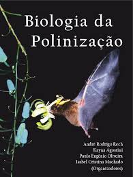 Image result for Aspidoglossum breve