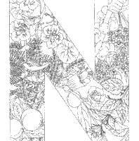 These are hand drawn for adults and aspiring young artists. Plant Alphabet Letter N Coloring Pages Surfnetkids