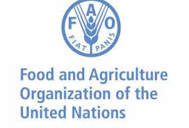 Scientific advice is the basis for the development of international food standards by codex. Food And Agriculture Organization Fao International Egg Commission