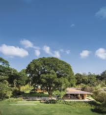 Jardines interiores modernos con palmeras, arbustos, rosas y piedra volcánica. Los 10 Mejores Jardines Para Inspirarte Este Verano