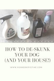 For instance, you or your pet might be sprayed, or a skunk could spray something else directly outside of your house. How To Remove Skunk Smell From Your Dog And Home