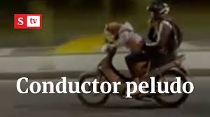 Con estas jocosas palabras, el ministro de hacienda de chile, ignacio briones, respondió a las duras críticas y memes. Video Graban Peligroso Momento Un Perro Manejando Una Moto En Las Calles De Colombia La Nacion