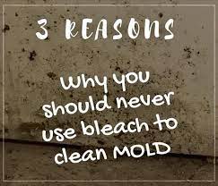 Chlorine Bleach Is Often Regarded As The Answer For Stopping Mold Growth And Removing The Mold However This Is Cleaning Mold Get Rid Of Mold Mold Remediation