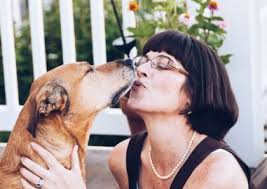 Operation Rescue Dog Blog Tour & Giveaway