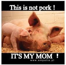 Animals Unecessarily Slaughtered In The Name Of Traditional Food Vegan Quotes Vegan Animals Animals