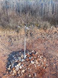 Any tree is better than going hungry, but if they can help it, deer usually avoid Tips For Planting Apple Trees Fruit Tree Garden Apple Tree Plants