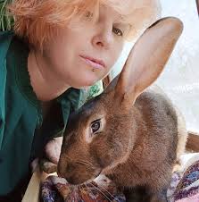 HermitCraft Permit System for Selling Items