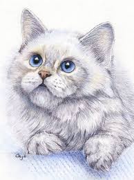 hudozhnik gayle mason illyustracii koshek koshachi kartiny risunki zhivotnyh