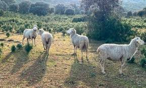 Anllela sagra onlyfan leak however I certainly had a