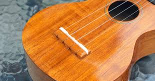 We did not find results for: My Ukulele Doesn T Hold Its Tuning What Can I Do