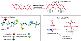 Check spelling or type a new query. The Impact Of Epigenetics On Cardiovascular Disease