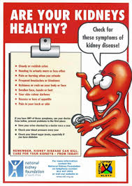 Healthy Kidney Kidney Health Chronic Kidney Disease Kidney Transplant