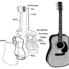 The guitar on the left is a steel string acoustic and the guitar on the right is a nylon string acoustic. Parts Of The Acoustic Guitar Download Scientific Diagram