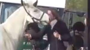 انتشار تصاویری از بد رفتاری یک سوارکار با اسب خود + فیلم