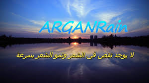 أرغانين شامبو زيت مغربي ويعتقد أن زيت أرغان المغربي للجميع لمنع خط الشعر الأخير نتيجة لمكونه هو ببساطة زيت الأرغان النقي Neon Signs Neon Lockscreen Screenshot