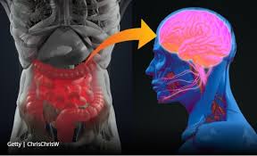 Rafatech system sdn bhd is a 100 percent bumiputra company focused on ict total solution and services to meet the ever demanding and changing information technology needs. Beopanax Selected As Psychobiotic Product Distributor