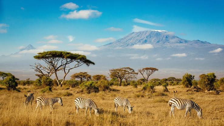 Amboseli National Park