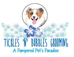 We did not find results for: Bubbles Pet Spa Mangalore Affordable Pet