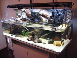 A powerful turtle tank filter. Turtle Decorations For Home How To Turtle Home Decor In Aquarium Gt Home Decorating Ideas Amp Decor Style Turtle Decor Turtle Homes Turtle Aquarium