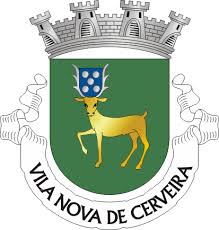 Questa immagine può bastare a descrivere il fado, uno dei simboli del portogallo, una musica del mondo che è portoghese. Vila Nova De Cerveira Brasao Brasao De Armas Vila Nova