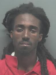 Lee County Arrests 1/30