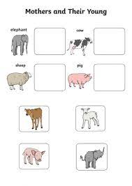 Living things have off springs add to my workbooks (1) embed in my website or blog add to google classroom Animals With Their Babies Worksheet