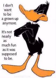 I Dont Want To Be Grown Up Anymore Duck Quotes Daffy Duck Quotes Looney Tunes