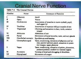 Cranial Nerve Function Cranial Nerves Function Cranial Nerves Nursing Memes