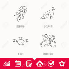 Jellyfish Crab And Dolphin Icons Butterfly Linear Sign Edit